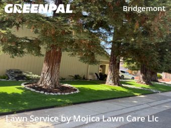 Work completed by local-landscaping-services-in-Citrus Heights-CA