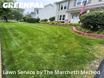 Yard Cutting nearby Bolingbrook, IL, 