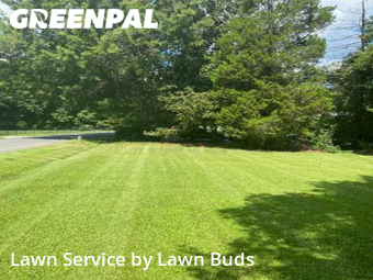 Lawn Service nearby Charlotte, NC, 