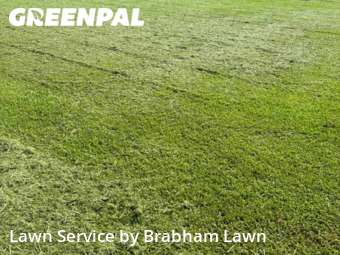 Yard Mowing nearby Gonzales, LA, 