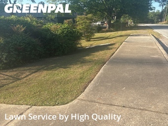 Grass Cutting nearby Riverdale, GA, 