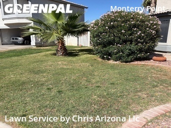 Yard Cutting nearby Chandler, AZ, 