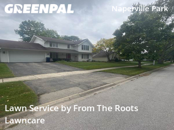 Yard Cutting nearby Naperville, IL, 