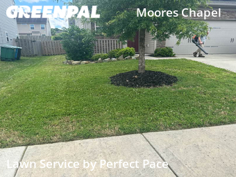 Lawn Cut nearby Charlotte, NC, 