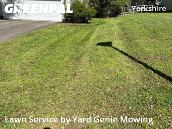 Lawn Service nearby Charlotte, NC, 