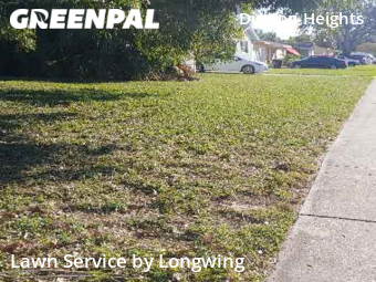 Lawn Care Servicein St Petersburg,33710,Lawn Care by Longwing, work completed in Dec , 2025