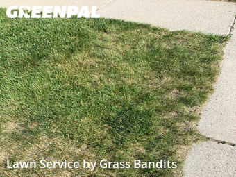 Lawn Cutting nearby Billings, MT, 