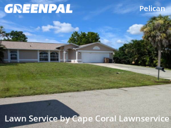 Lawn Cut nearby Cape Coral, FL, 