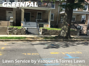 Lawn Cut nearby Washington, MD, 