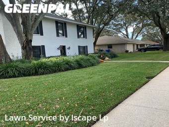 Yard Cutting nearby Valrico, FL, 