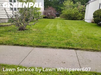 Grass Cutting nearby Binghamton, NY, 