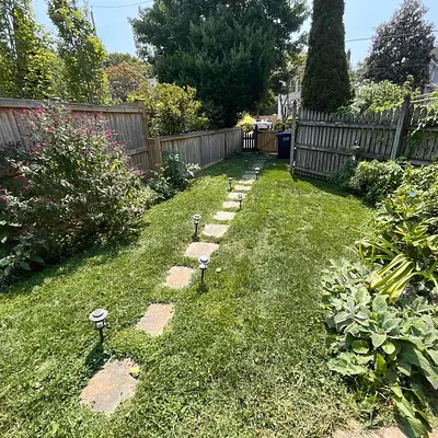 Lawn Love Lawn Care of Washington DC Photo 5