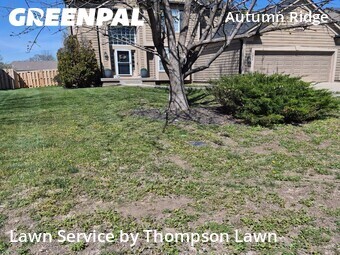 Grass Cut nearby Olathe, KS, 