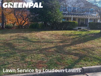 Lawn Cutting in Sterling, 20165, Lawn Maintenance by Loudoun Lawns, work completed in Dec , 2025