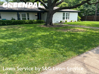Lawn Cut nearby Dallas, TX, 