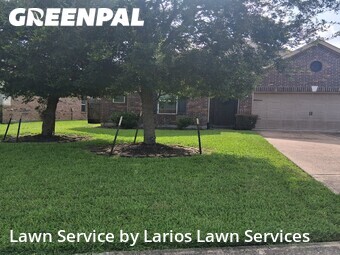 Grass Cutting nearby Pearland, TX, 
