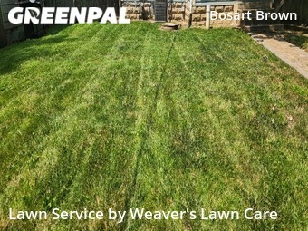 Lawn Care nearby Indianapolis, IN, 