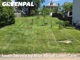 Grass Cut nearby Ross Township, PA, 