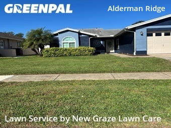 Lawn Maintenance nearby Palm Harbor, FL, 