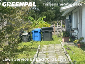 Grass Cut nearby Tampa, FL, 