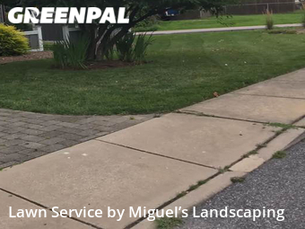 Lawn Cut nearby Annapolis, MD, 