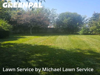 Grass Cut nearby Livonia, MI, 