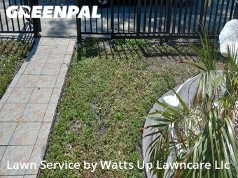 Lawn Cut nearby Miami, FL, 