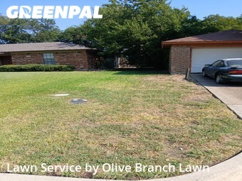 Yard Cuttingin Keller,76248,Lawn Service by Olive Branch Lawn, work completed in Jan , 2026