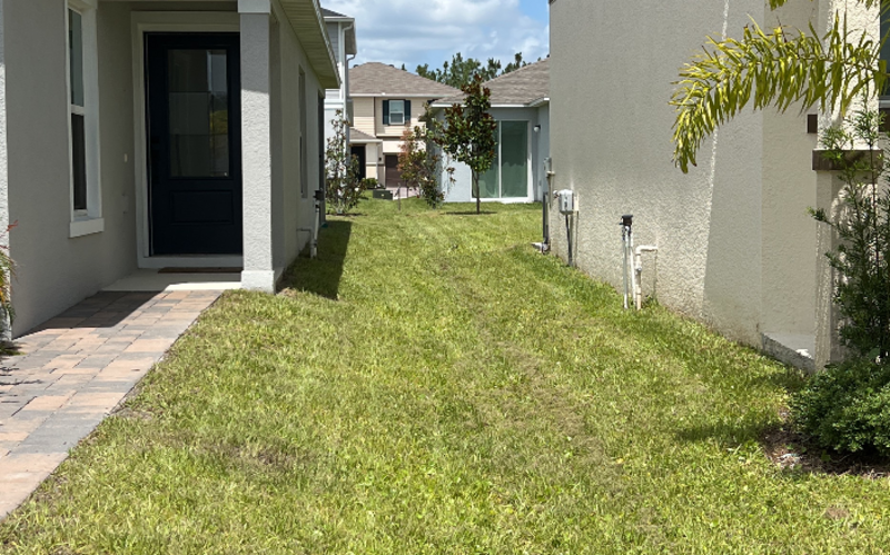 Work Image 4