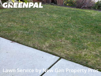 Lawn mowed in Danville, 94506