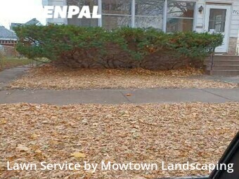 Lawn Care nearby Saint Paul, MN, 