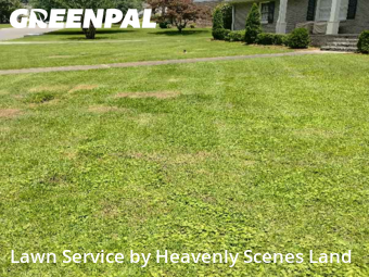 Lawn Mowing Service nearby Vestavia Hills, AL, 