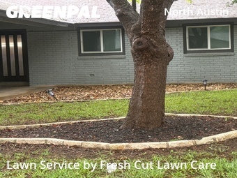 Grass Cut nearby Austin, TX, 