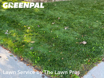 Lawn Mow nearby Longmont, CO, 