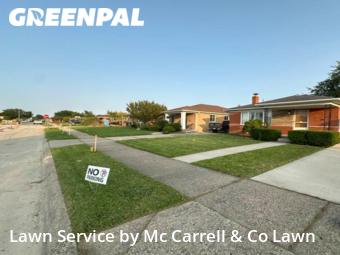 Lawn Cut nearby Warren, MI, 