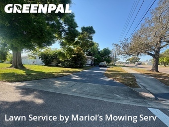 Grass Cut nearby Clearwater, FL, 