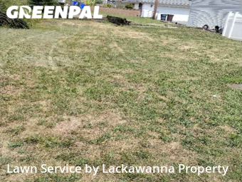 Lawn Service nearby Scranton, PA, 