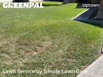 Grass Cutting nearby San Antonio, TX, 