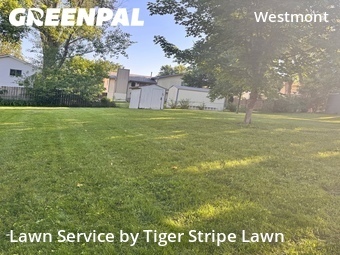 Grass Cut nearby Papillion, NE, 