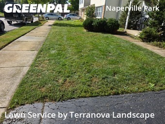 Yard Mowingin Naperville,60565,Lawn Mow by Terranova Landscape, work completed in Dec , 2025
