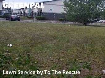 Lawn Mow nearby Jacksonville, FL, 