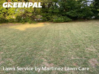 Lawn Mowing Service nearby Dallas, TX, 