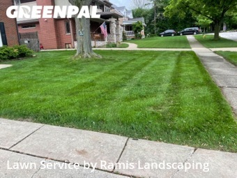 Grass Cut nearby Joliet, IL, 
