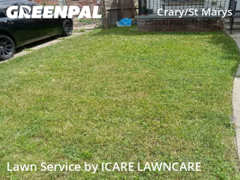 Grass Cut nearby Detroit, MI, 