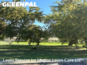 Landscaping In Elk Grove,95624,Landscape Design by Mojica Lawn Care Llc, work completed in Nov , 2025