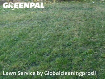 Lawn Care Service nearby Oak Lawn, IL, 