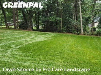 Grass Cut nearby Mint Hill, NC, 