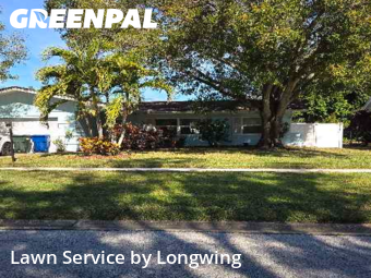 Grass Cut nearby Largo, FL, 