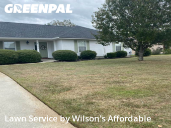 Lawn Services in Valdosta, 31605, Lawn Care by Wilson's Affordable , work completed in Nov , 2025