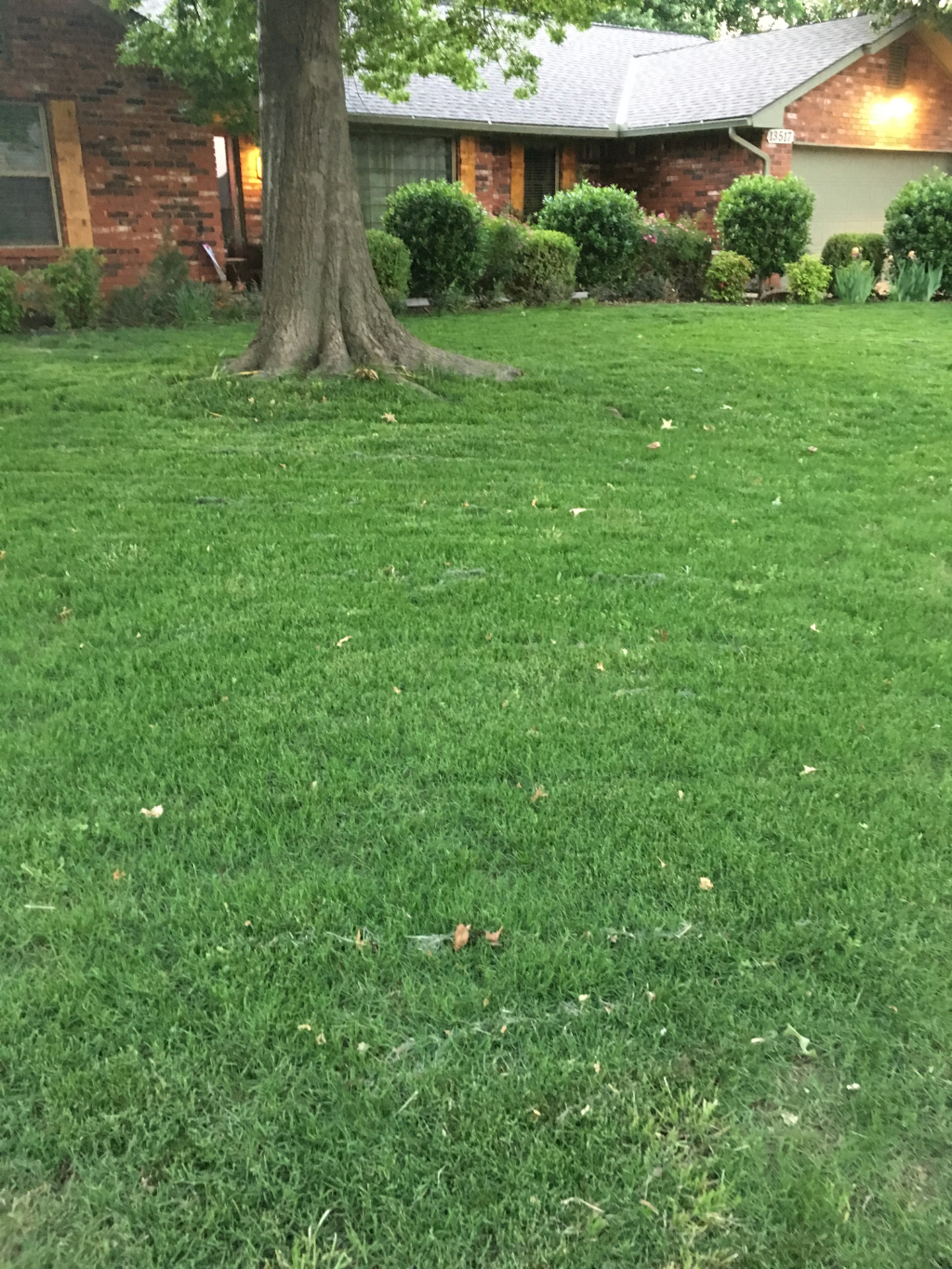 Apple Valley Lawn Care Services in Oklahoma City, OK